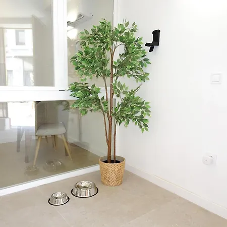 Apartment Jb22 - Loft *